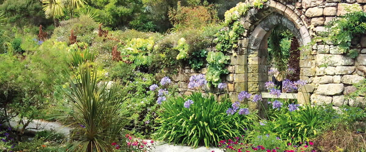 Tresco Abbey Gardens, Isle of Scilly